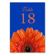 Naranja Gerbera Daisy Royal Blue Boda
