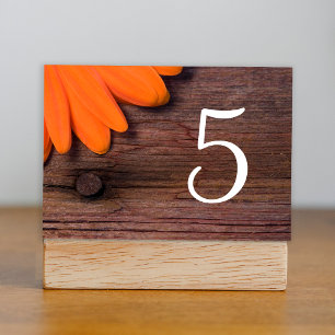 Tarjeta De Mesa Naranja Rústico Daisy Barn Bodas Números de tabla