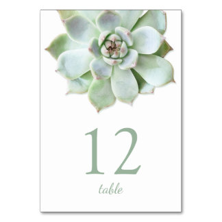 Tarjeta De Mesa Número de tabla de Boda exitoso moderno