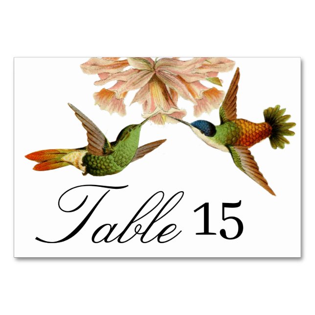 Tarjeta De Mesa Número de tabla de colibrí de bodas elegante (Anverso)