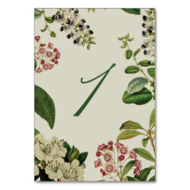 TARJETA DE MESA NÚMEROS DE TABLA BOTÁNICA- CREMA