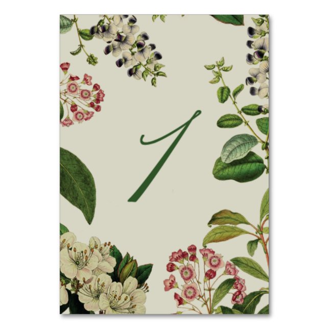 TARJETA DE MESA NÚMEROS DE TABLA BOTÁNICA- CREMA (Anverso)