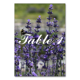 Tarjeta De Mesa Números de tabla de Boda de lavanda