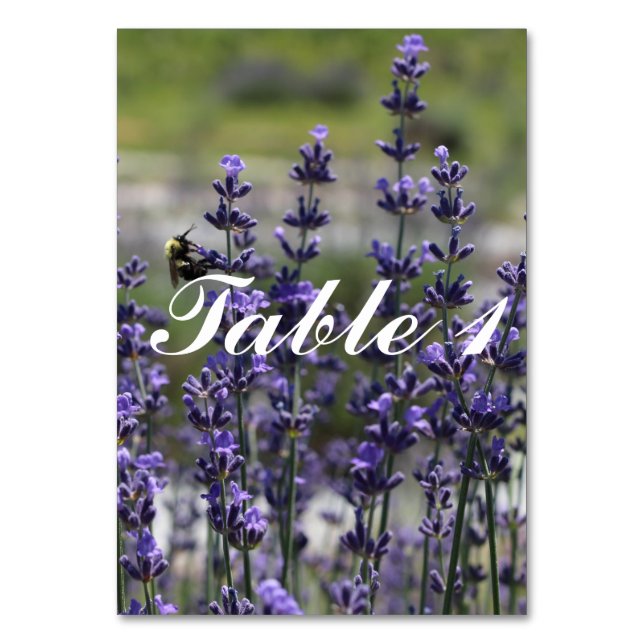 Tarjeta De Mesa Números de tabla de Boda de lavanda (Reverso)
