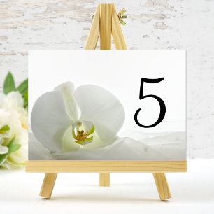Tarjeta De Mesa Números de tabla de Bodas de velo de orquídeas bla