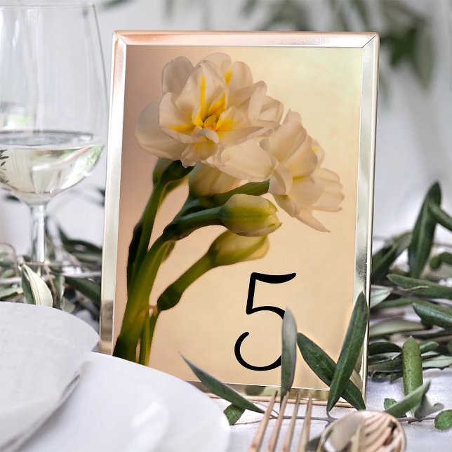 Tarjeta De Mesa Números de tabla de doble tortilla blanca (Subido por el creador)