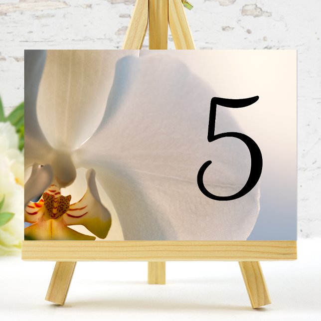 Tarjeta De Mesa Números de tabla de elegancia de orquídeas blancas (Subido por el creador)