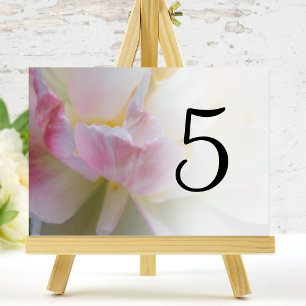 Tarjeta De Mesa Números de tabla de flor de tulipano rosa y blanco