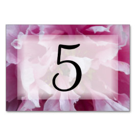 Tarjeta De Mesa Números de tabla de flores de Peony Rosa