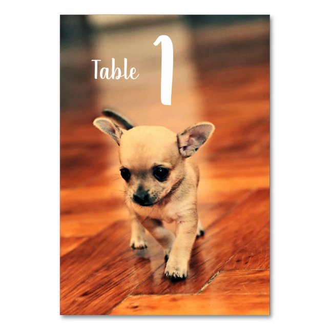 Tarjeta De Mesa Números de tabla de fotos de Chihuahuas (Anverso)