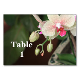 Tarjeta De Mesa Orquídeas