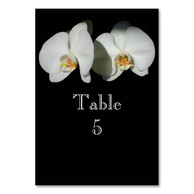 Tarjeta De Mesa Orquídeas blancas románticas, foto floral tropical (Anverso)