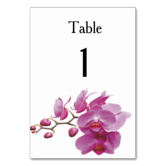 Tarjeta De Mesa Orquídeas Bodas baratas Juegos de paquetes
