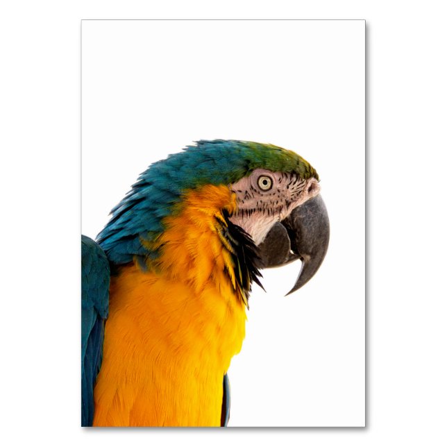 Tarjeta De Mesa Parrot Post-it Notes (Anverso)