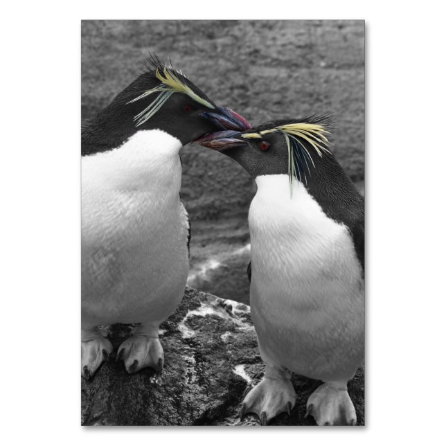Tarjeta De Mesa Penguin Colour Splash (Anverso)
