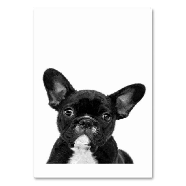 Tarjeta De Mesa Perro Adorable | Cara de Bulldog francesa negra (Anverso)