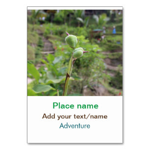 Tarjeta De Mesa Plantas naturales fotografía nombre de viaje en ag