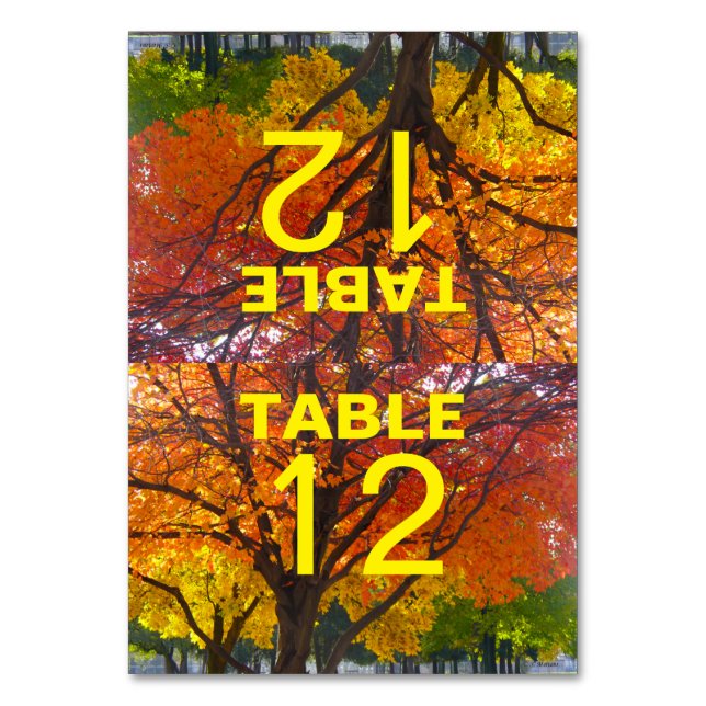 Tarjeta de mesa plegada Boda de hojas de otoño (Anverso)