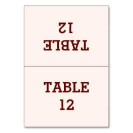 Tarjeta de mesa plegada personalizada Bride & Groo