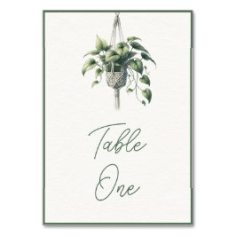 Tarjeta De Mesa Pothos: Planta de vegetación botánica de Moda Boho