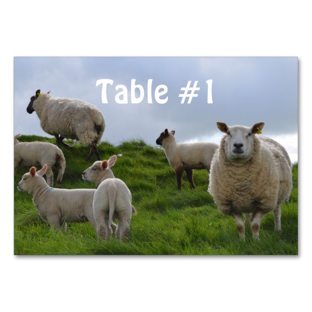 Tarjeta De Mesa Producto personalizar (Anverso)