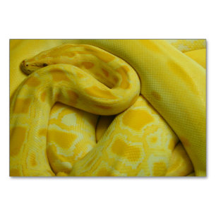 Tarjeta De Mesa Python birmano amarillo