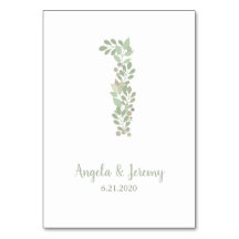 Ramas de oliva número 1