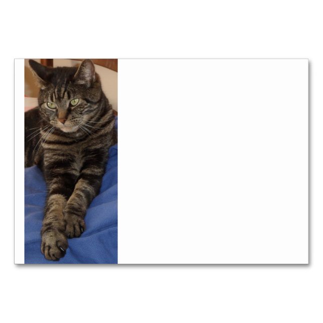 Tarjeta De Mesa Regal Dave Table Cards (Anverso)
