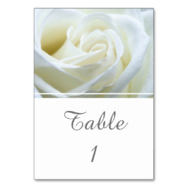 Tarjeta De Mesa Rosa blanca moderna