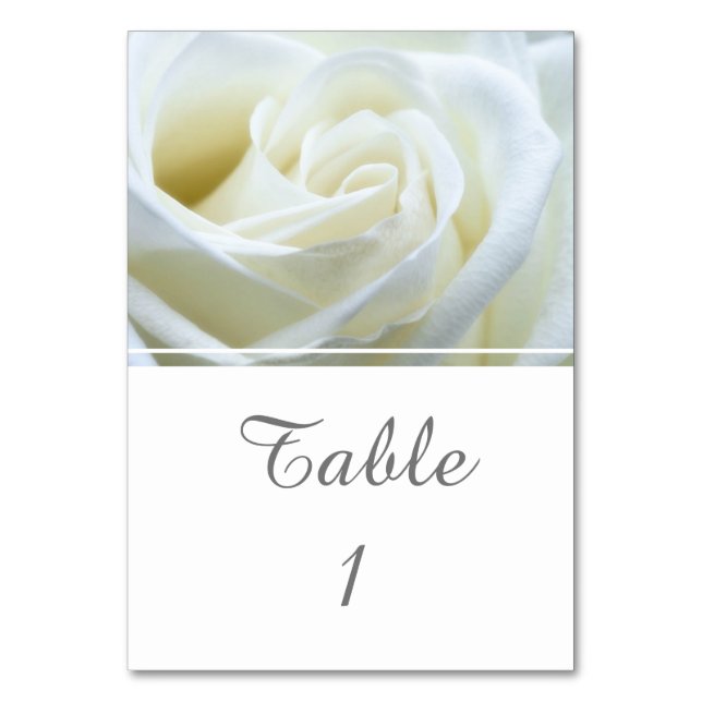 Tarjeta De Mesa Rosa blanca moderna (Anverso)