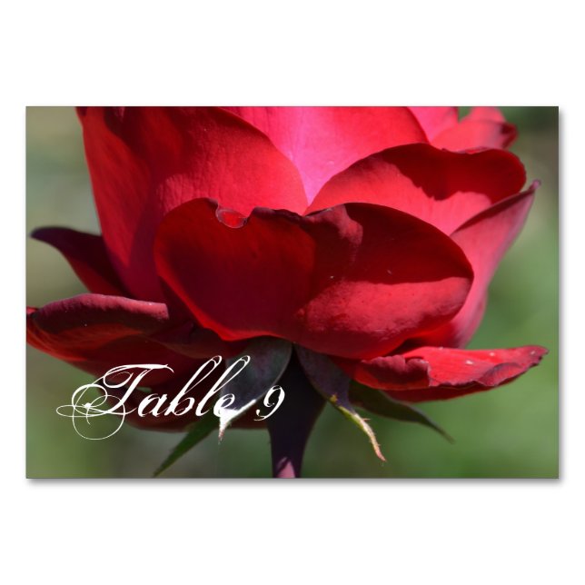 Tarjeta De Mesa Rosa Roja (Anverso)