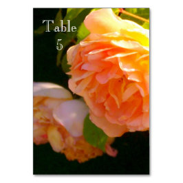 Tarjeta De Mesa Rosas clásicos y naranjas de pastoreo