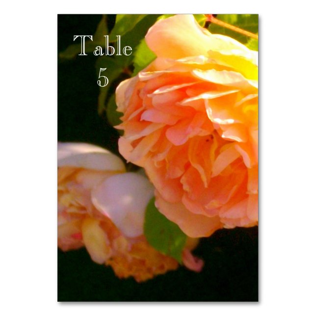 Tarjeta De Mesa Rosas clásicos y naranjas de pastoreo (Anverso)