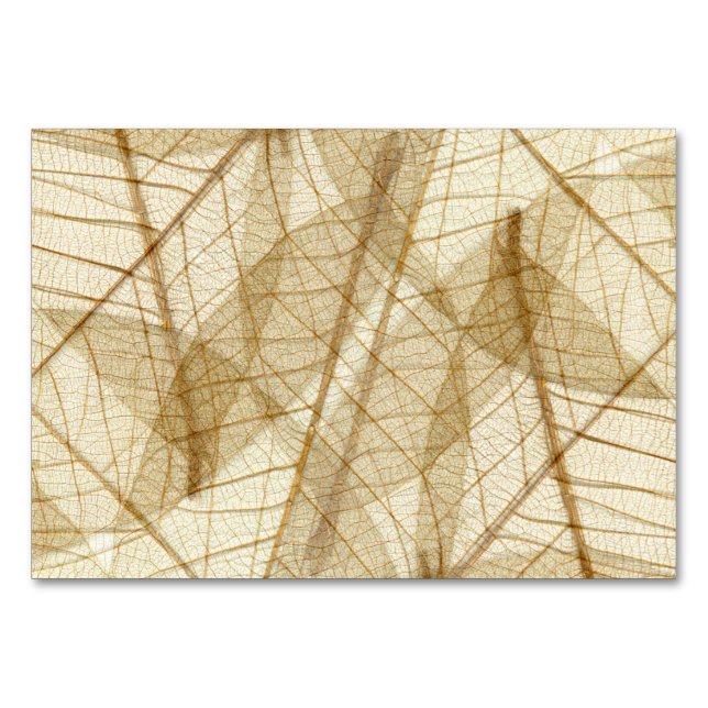 Tarjeta De Mesa Rustic Sheer Cream Lace (Anverso)