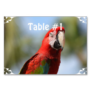Tarjeta De Mesa Scarlet Red Macaw