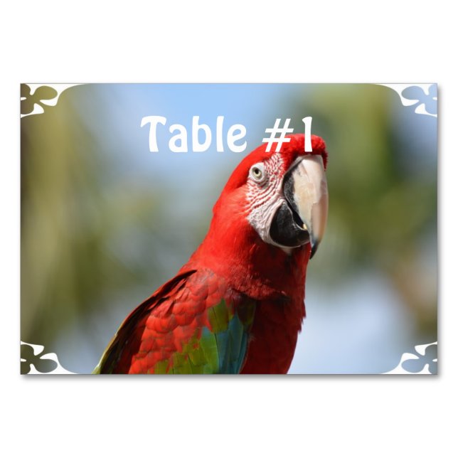 Tarjeta De Mesa Scarlet Red Macaw (Anverso)