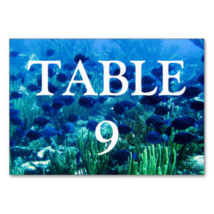 Tarjeta De Mesa Shoal de Blue Discus Fish