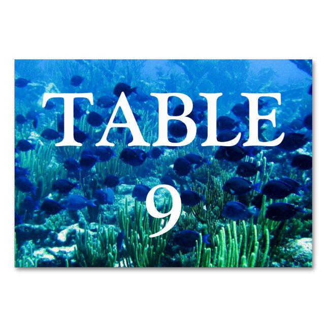 Tarjeta De Mesa Shoal de Blue Discus Fish (Reverso)