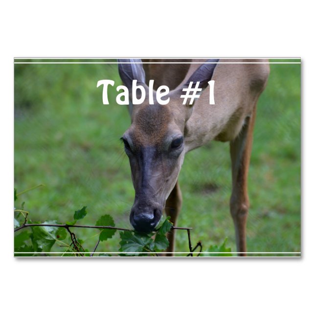 Tarjeta De Mesa Snack Deer (Anverso)