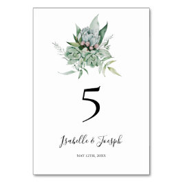 Tarjeta De Mesa Suculenta vegetación | Número de tabla