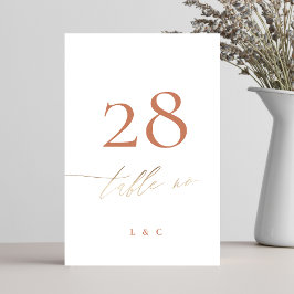 Tarjeta De Mesa Terracotta Dusty Naranja Elegant Boho Gold Boda