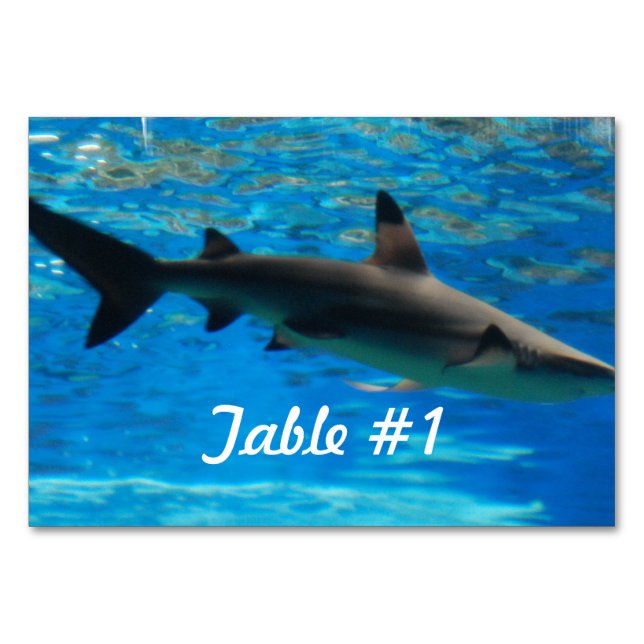 Tarjeta De Mesa Tiburón nadador (Anverso)