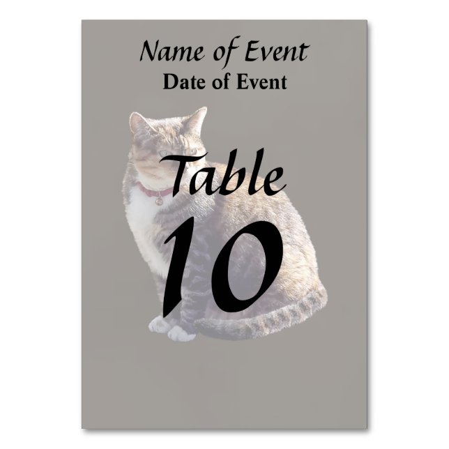 Tarjeta De Mesa Tortoiseshell Cat (Anverso)