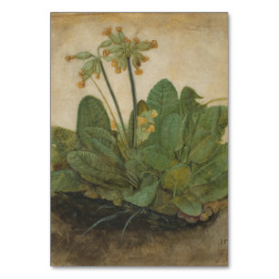 Tarjeta De Mesa Tubo de galletas por Albrecht Durer