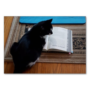 Tarjeta De Mesa Verbo Mirando, Gato Leyendo FlashCards para Adulto