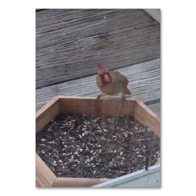 Tarjeta De Mesa Verbos Comer Sitting Robin Bird Leer Flashcards (Anverso)