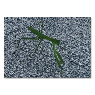 Tarjeta De Mesa Verbos, orando a los hombres caminando, leyendo ta