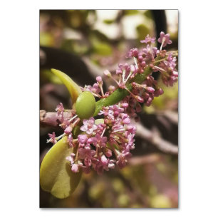 Tarjeta De Mesa Vista de entorno real