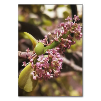 Tarjeta De Mesa Vista de entorno real