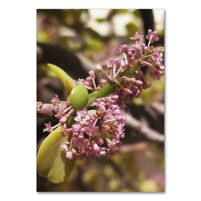 Tarjeta De Mesa Vista de entorno real (Reverso)